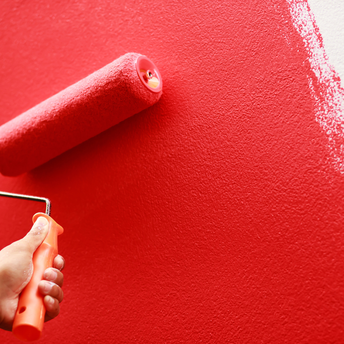 Painter