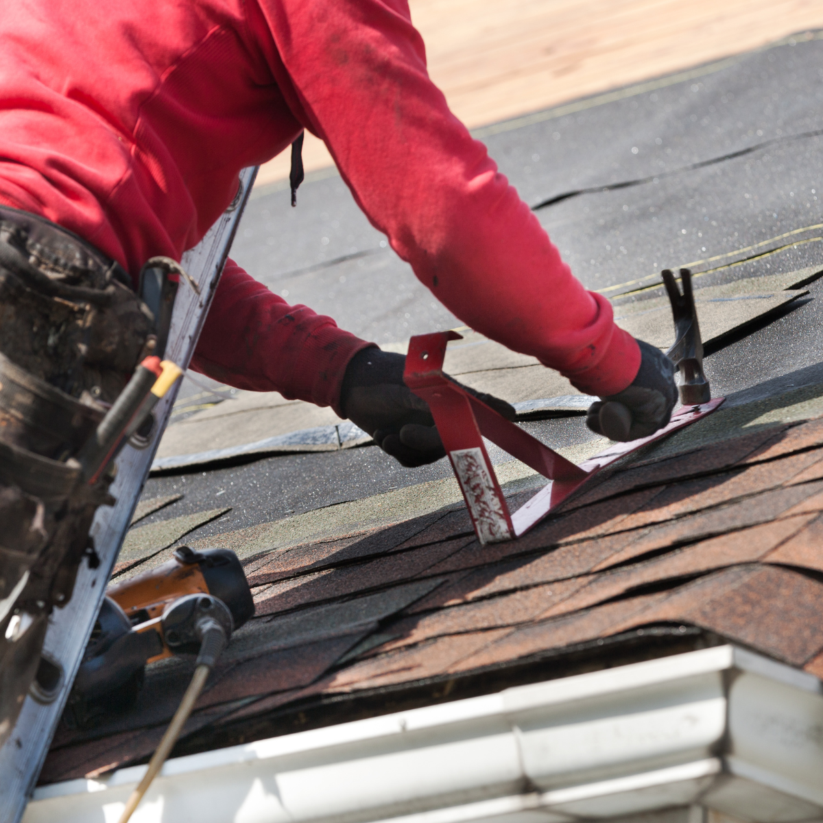 Roofer
