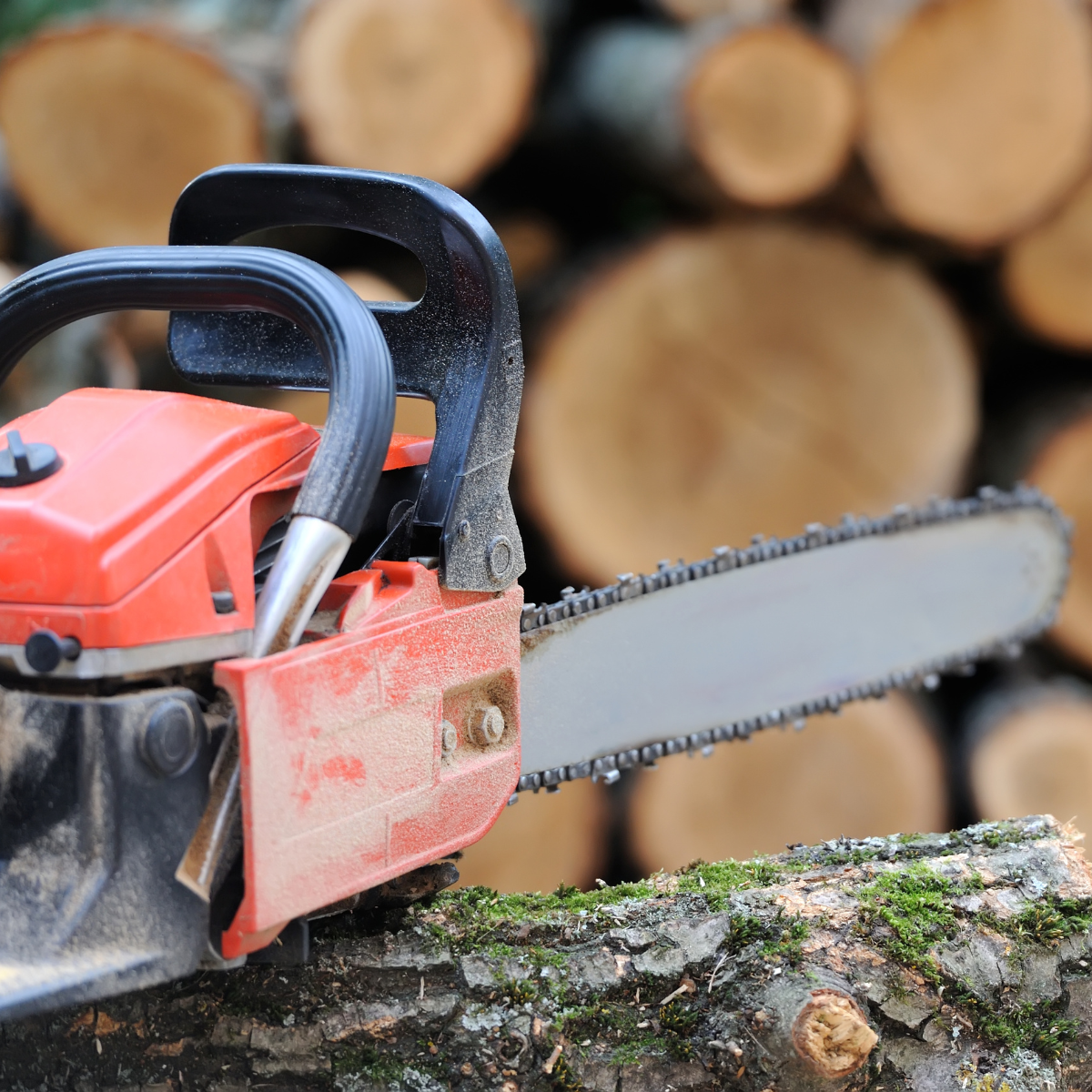 Arborist