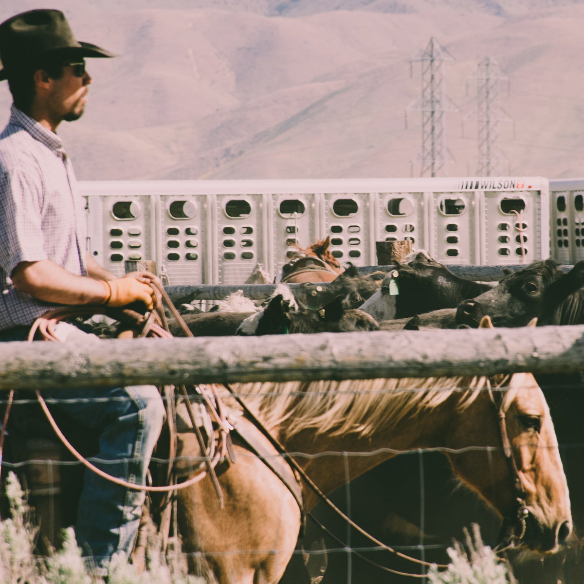 Rancher