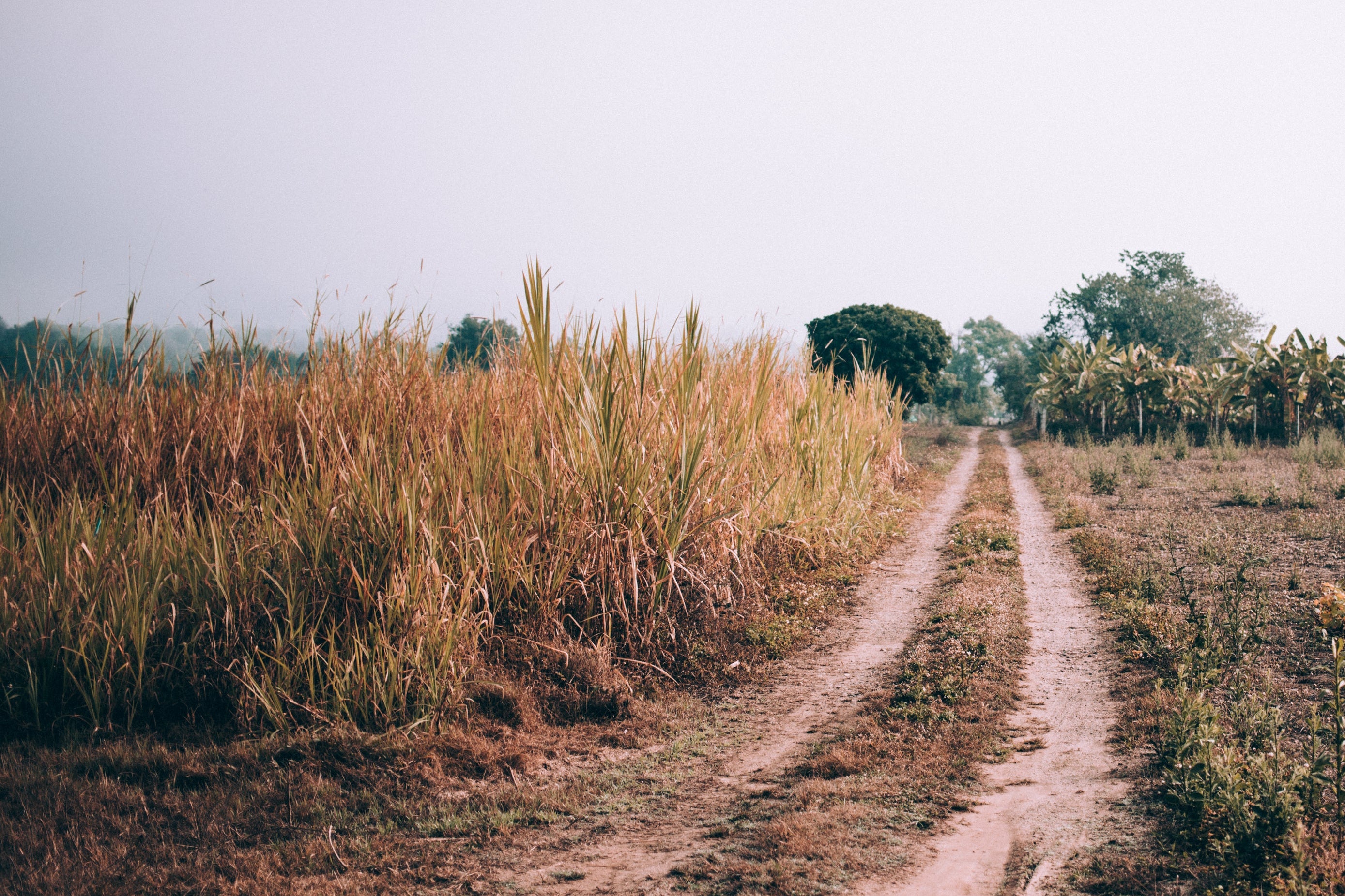 Rusty tradesman Banner -2